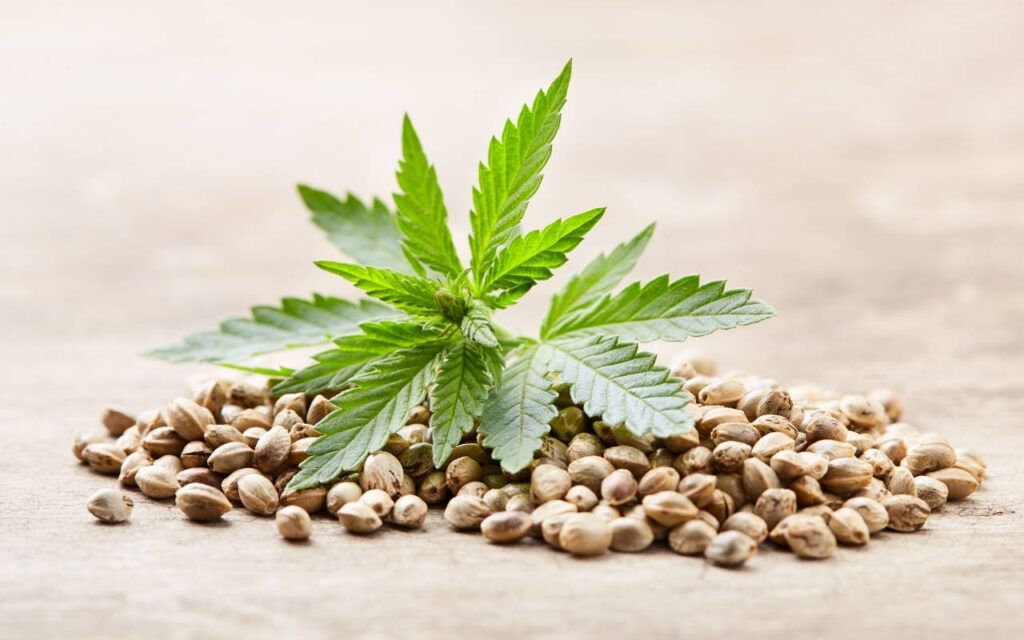 Proper Cannabis Seed Storage 